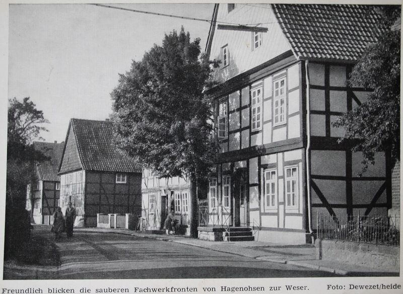 Datei:Hagenohsen dewezet.jpg