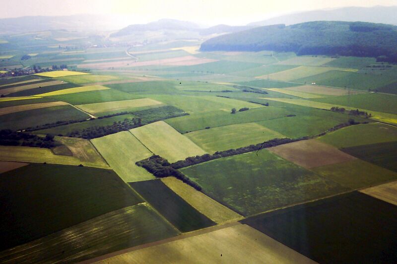 Datei:Kleiner Berg-Eichberg 1995.jpg