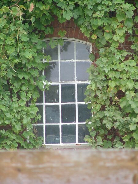 Datei:TBessinghausen 2006 08 25-102.jpg